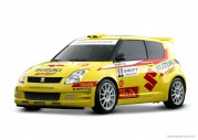 Suzuki Swift Rally Car